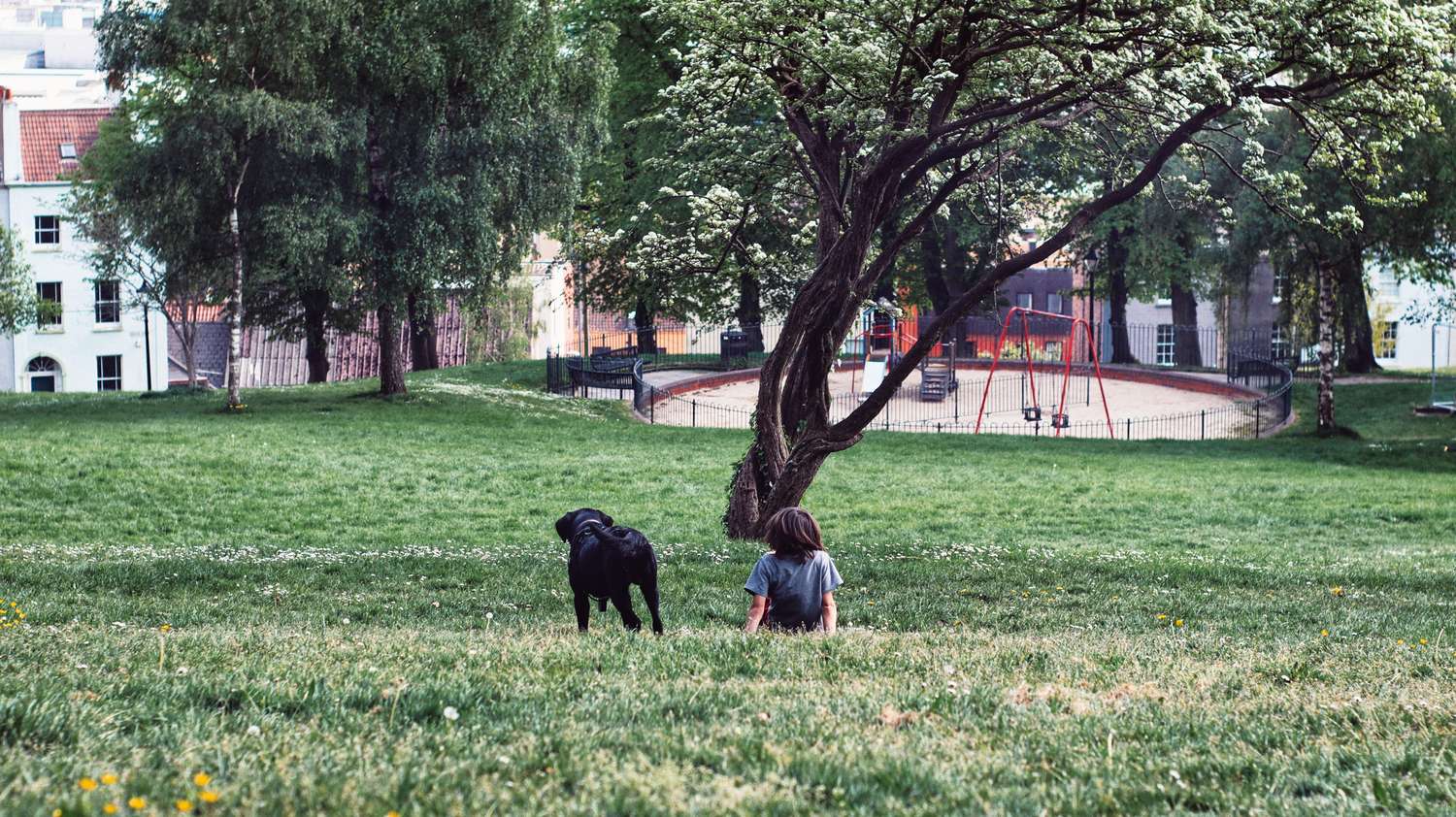 The Kid and His Friend